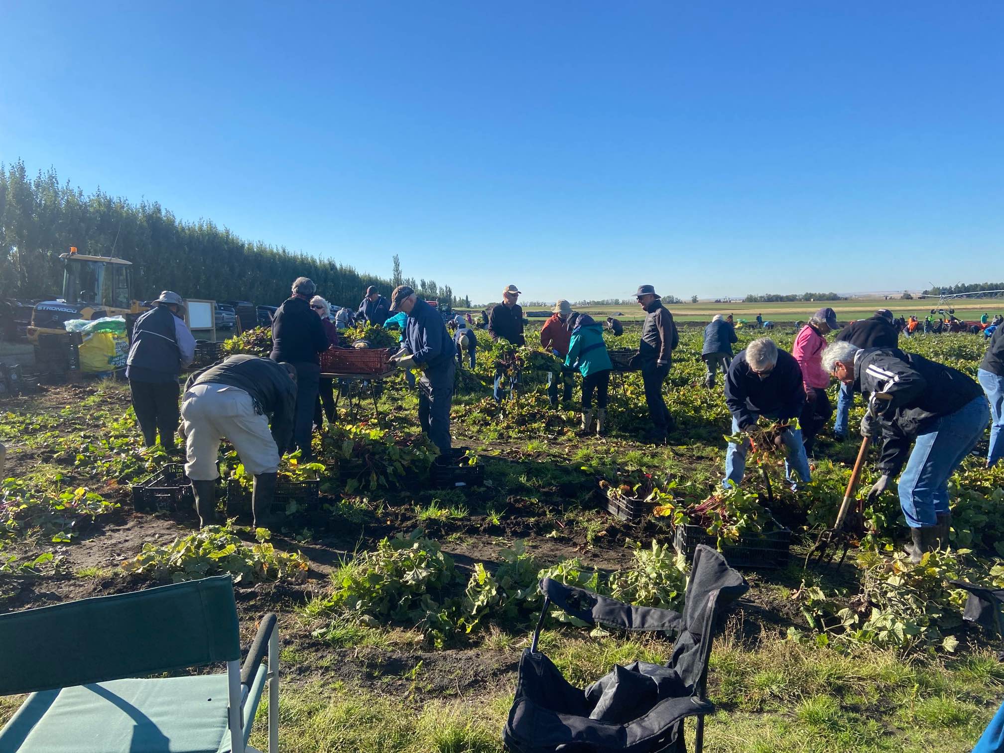 How Did YOUR Garden Grow?