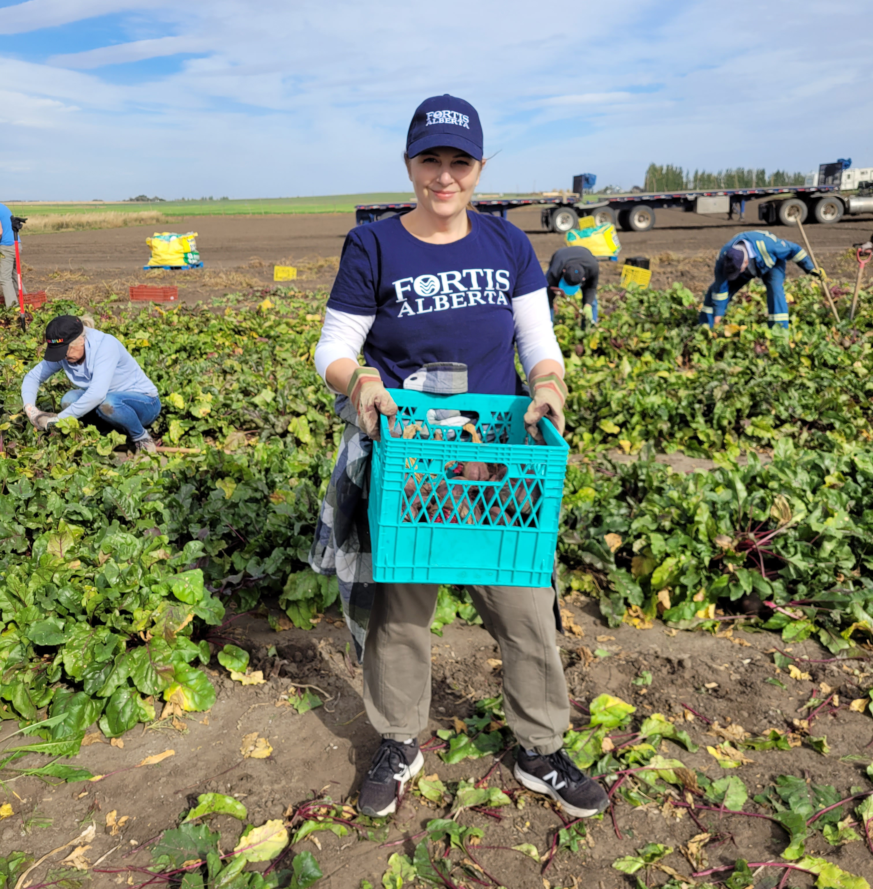 Grow a row volunteer holding a crate of beets at a community garden